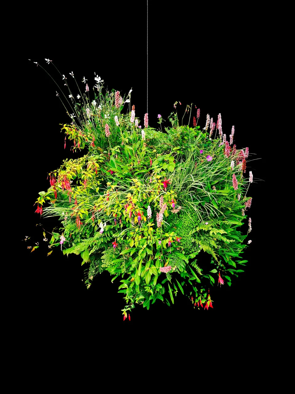Tapestry Vertical Gardens - Bio Sphere